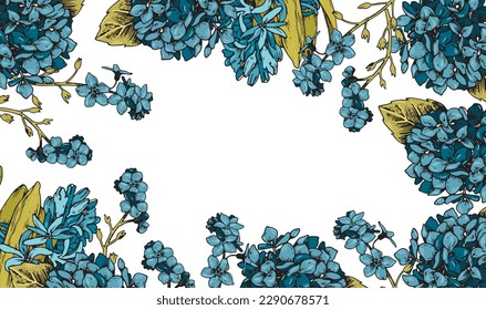 Illustration of floral botanical elements on a white background isolated. Vector illustration of frame composition with blue flowers.