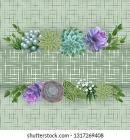 Illustration of floral card template with succulent plants, eucalyptus, gypsophila flowers, horizontal banner and cellular background
