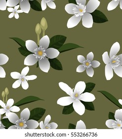 Illustration of floral seamless pattern