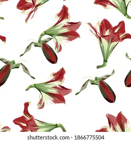 Illustration of floral seamless pattern, red amaryllis seamless pattern on white background.