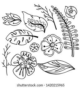 Illustration of floral vector elements set