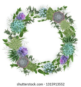 Illustration of floral wreath with succulent plants, gypsophila flowers and eucalyptus isolated
