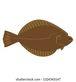 73 Right eye flounder Images, Stock Photos & Vectors | Shutterstock