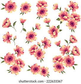 illustration of flower