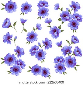 illustration of flower