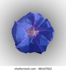 Illustration of flower.