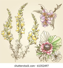 Illustration Flower
