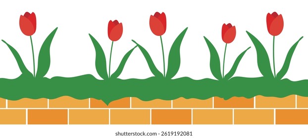 Illustration of a flower bed with red tulips blooming