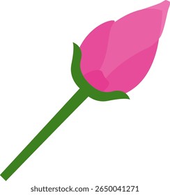 Ilustração de um botão de flor