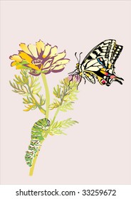 illustration with flower, butterfly and caterpillar