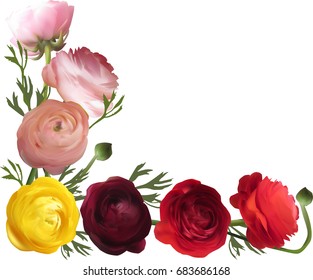 illustration with flower decorated corner isolated on white background