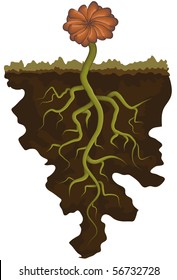 Illustration Of Flower With Deep Roots