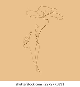 an illustration of a flower in a dynamic linear drawing style decorated in a modern style on a beige background is ideal for printing and design of objects