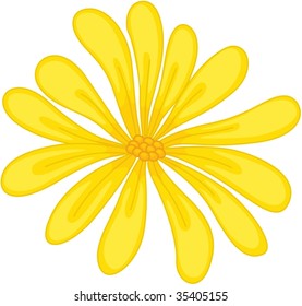 illustration of flower on white
