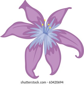 illustration of flower on a white background