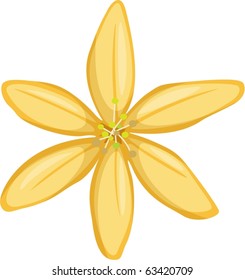 illustration of flower on a white background