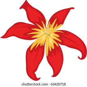 illustration of flower on a white background