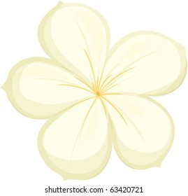 illustration of flower on a white background