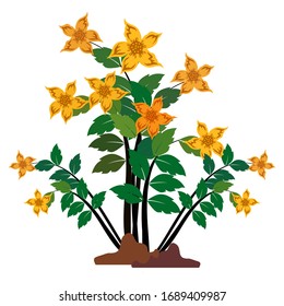 illustration of a flower plant. flower plant design. yellow flowers.