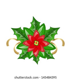 Illustration flower poinsettia for christmas decoration - vector