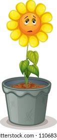 illustration of a flower in the pot