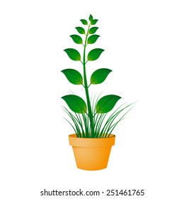 Illustration of flower pot
