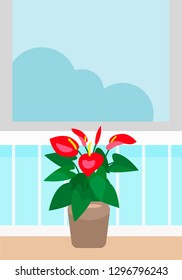 Illustration of a flower in a pot by the window, Anthurium.