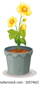 illustration of a flower pot on a white background
