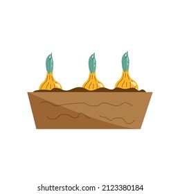 Illustration of flower pot. Plants growing in the pot. The isolated image on a white background. Flat style.