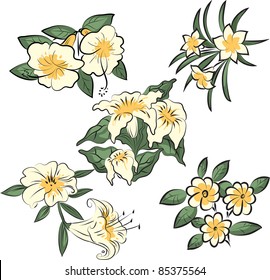illustration flower set