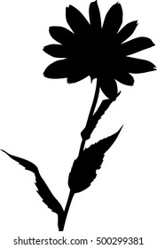 illustration with flower silhouette isolated on white background