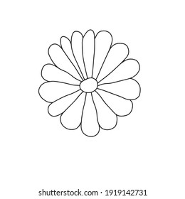 illustration of a flower sketch on white background