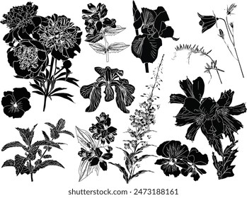 illustration with flower sketches collection isolated on white background