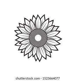 illustration with flower of sunflower isolated on white background