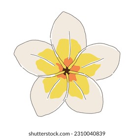 An illustration of a flower that blooms in a tropical place called 'Love Hawaii' as a 'Plumeria' flower that can be seen in Hawaii.