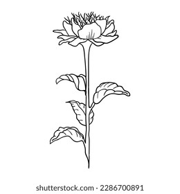 Ilustración del vector floral.
Icono de planta, signo o símbolo.