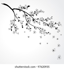 Illustration of flowering branch of Japanese cherry tree