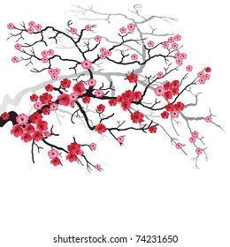 Illustration of flowering branch of Sakura. Vector.