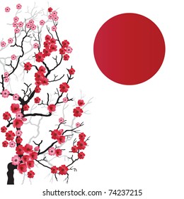 Illustration of flowering branch of Sakura. Vector.