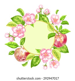 Illustration with flowering branches of apple trees and fruits on white background. To create greeting cards, wedding invitations, congratulations. Vector.