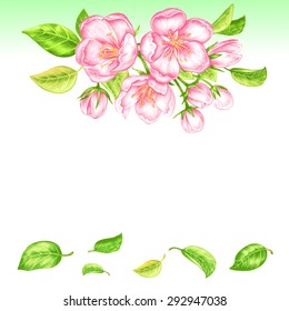 Illustration with flowering branches of apple trees on white background. To create greeting cards, wedding invitations, congratulations. Vector.