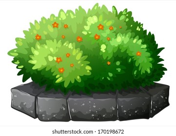 Illustration of a flowering plant above the gray stone on a white background