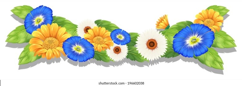 Illustration of the flowering plant with colourful flowers on a white background