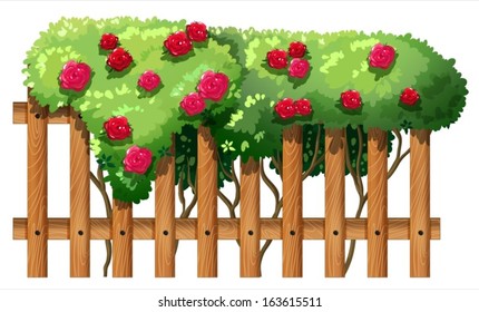 Illustration of a flowering plant with a fence on a white background