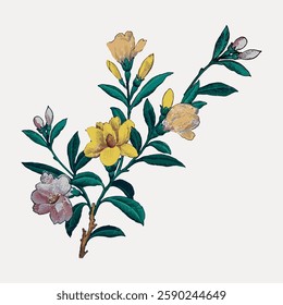 Illustration of a flowering plant with green leaves and yellow blooms. Botanical art showcasing delicate petals and vibrant greenery in a classic style. Vintage botanical illustration vector.