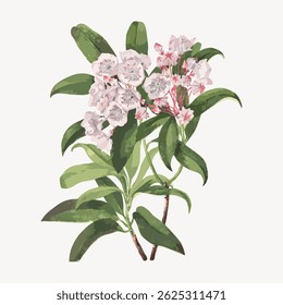 Illustration of a flowering plant with green leaves and pink flowers. The plant's leaves and flowers are detailed, showing the plant's natural beauty and elegance. Vintage flower illustration vector.