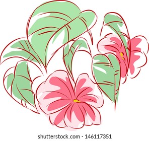 illustration flowers