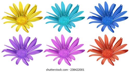Ilustración de flores