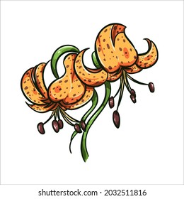 illustration of flowers, bright orange flowers, brightly colored flowers, wedding decoration flowers