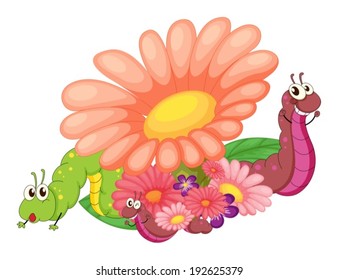 Illustration of the flowers with caterpillars on a white background